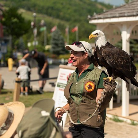 Blue Mountain Resort Village Suites Блу-Маунтінс Екстер'єр фото